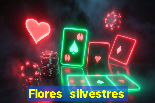 Flores silvestres brasileiras brasileiras flores silvestres nomes e imagens